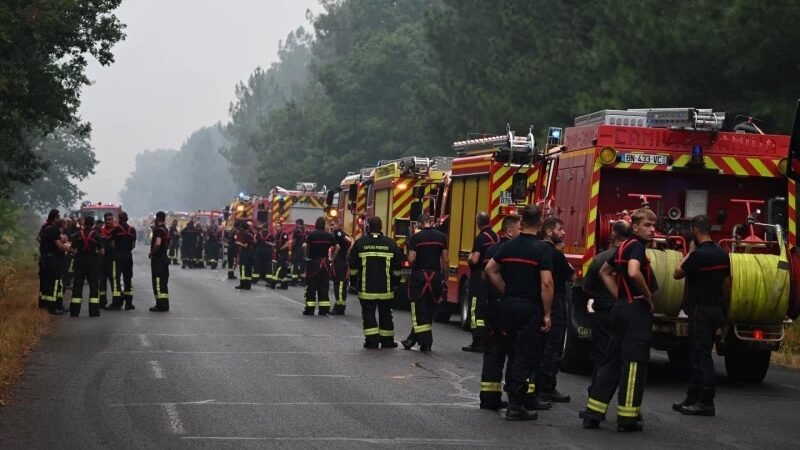 Incendios forestales desesperan a ganaderos en Madrid