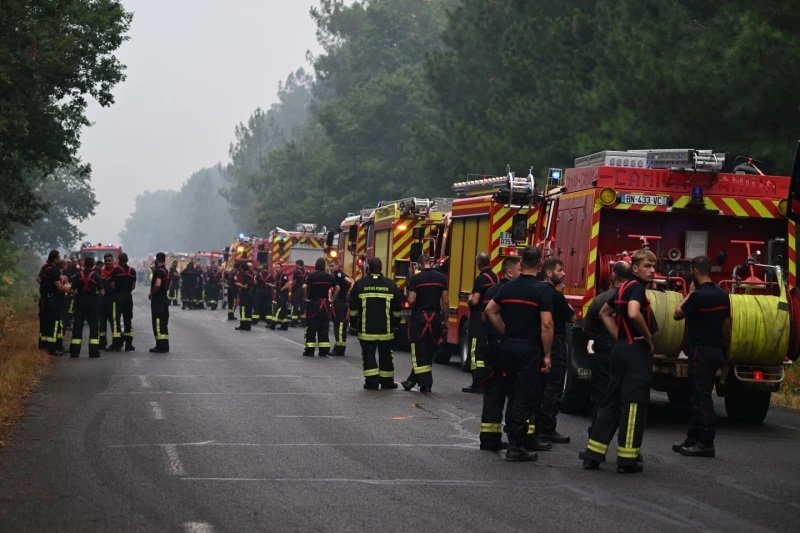 Incendios forestales desesperan a ganaderos en Madrid