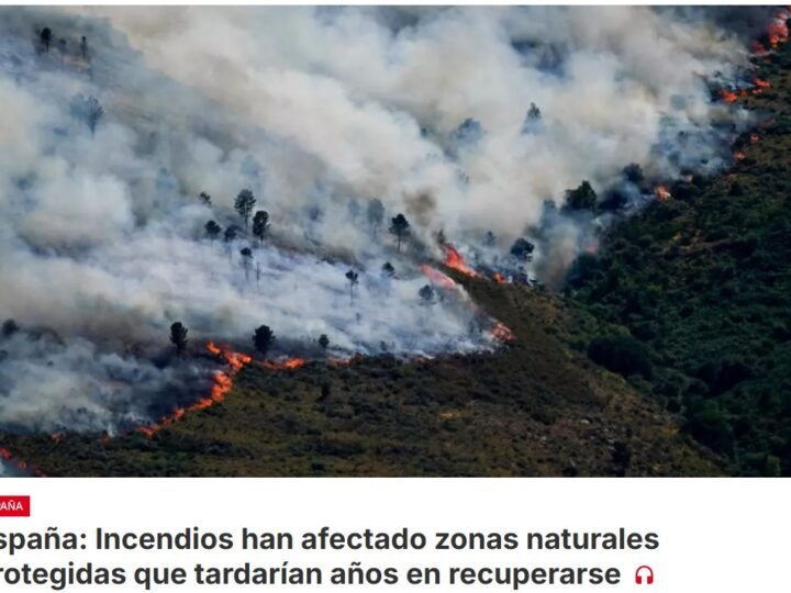 El incendio de Ávila calcina unas 50 mil hectáreas, alrededor de 25 mil en Madrid y unas 7.200 en Castellón, frente al mar mediterráneo