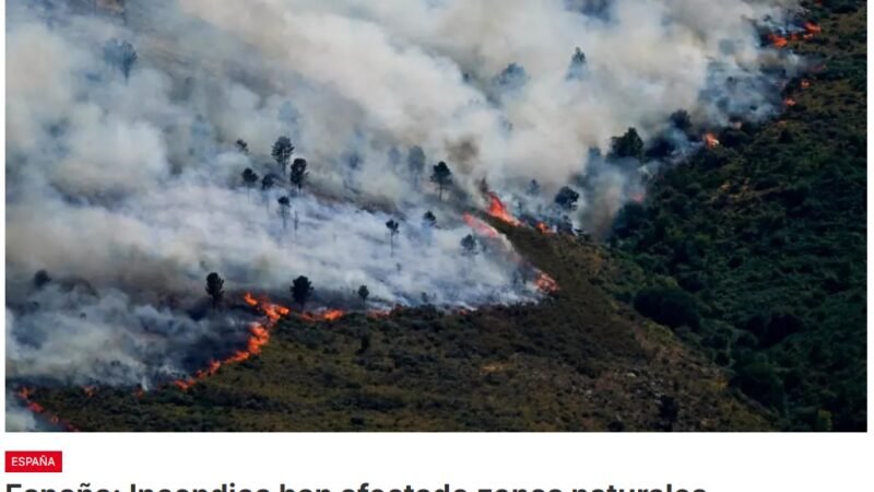 El incendio de Ávila calcina unas 50 mil hectáreas, alrededor de 25 mil en Madrid y unas 7.200 en Castellón, frente al mar mediterráneo