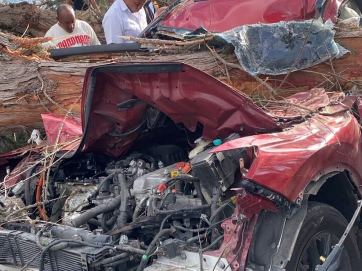 Cuatro personas heridas tras caída de un árbol en la autopista Las Américas