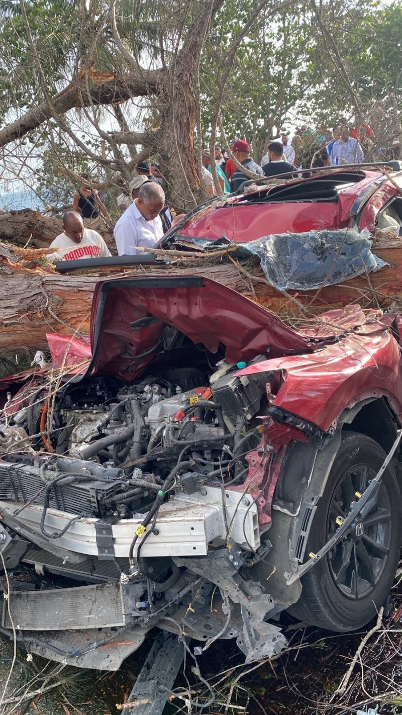 Cuatro personas heridas tras caída de un árbol en la autopista Las Américas