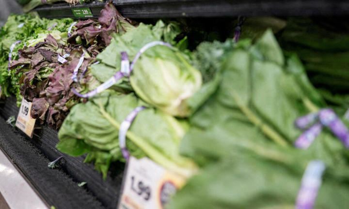 Una lechuga en alerta en México y Estados Unidos