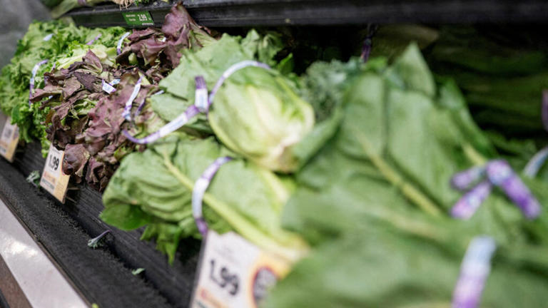 Una lechuga en alerta en México y Estados Unidos