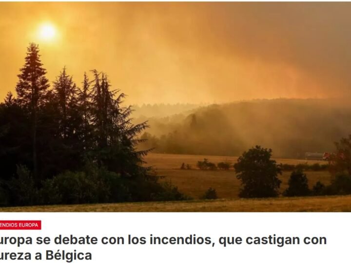 Mientras Europa atraviesa un verano de calor extremo sin precedentes, los incendios forestales se multiplican en regiones que antes se habían librado de ellos, como en Bélgica y Alemania