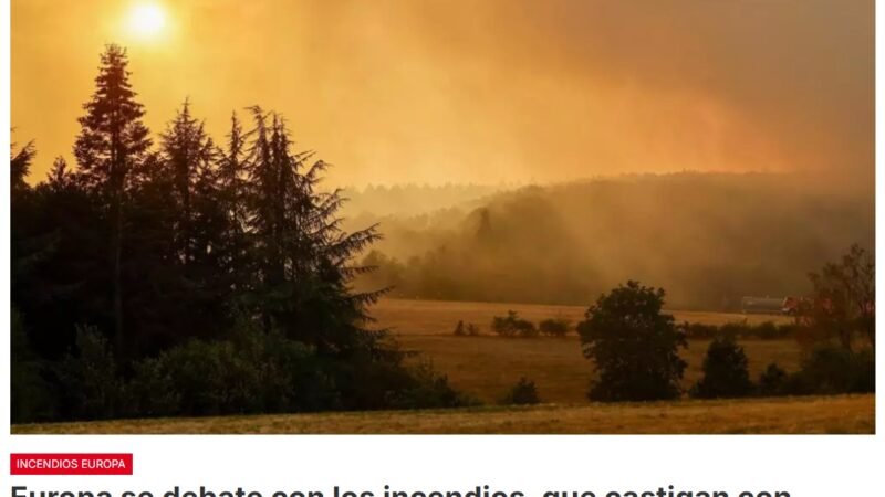 Mientras Europa atraviesa un verano de calor extremo sin precedentes, los incendios forestales se multiplican en regiones que antes se habían librado de ellos, como en Bélgica y Alemania