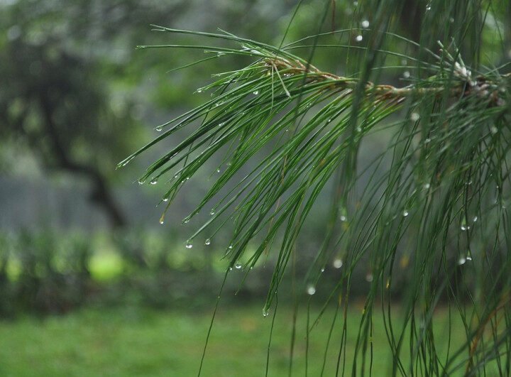Indomet pronostica escasas lluvias y posibles truenos para este sábado