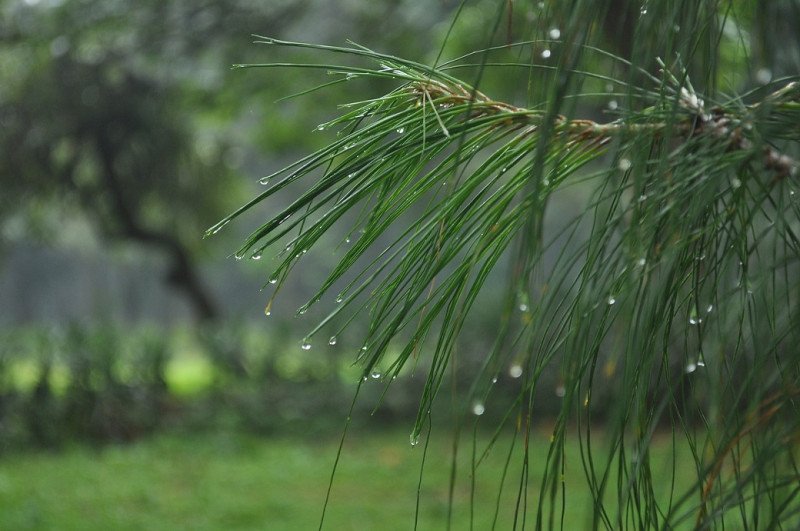 Indomet pronostica escasas lluvias y posibles truenos para este sábado