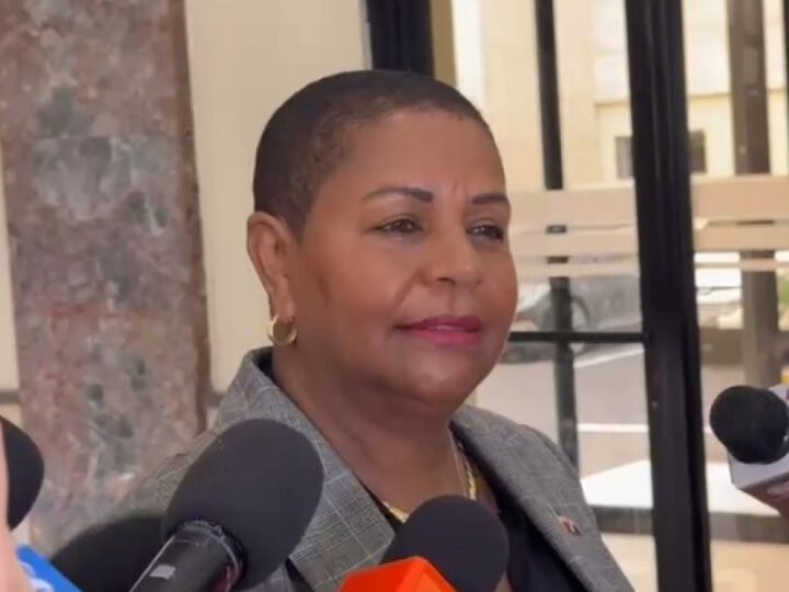Cónsul dominicana renuncia por “falta de apoyo institucional”