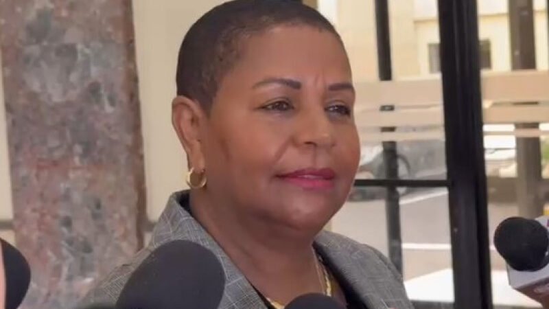 Cónsul dominicana renuncia por “falta de apoyo institucional”