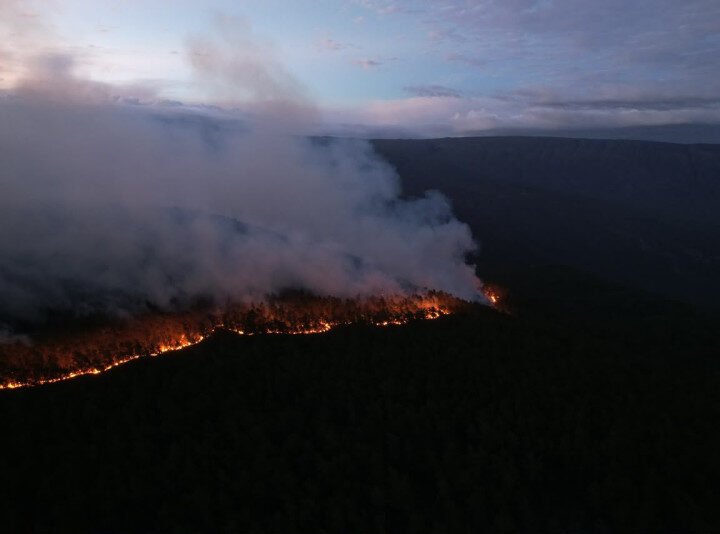 Incendios devoran pinares y fauna endémica en la Sierra de Bahoruco