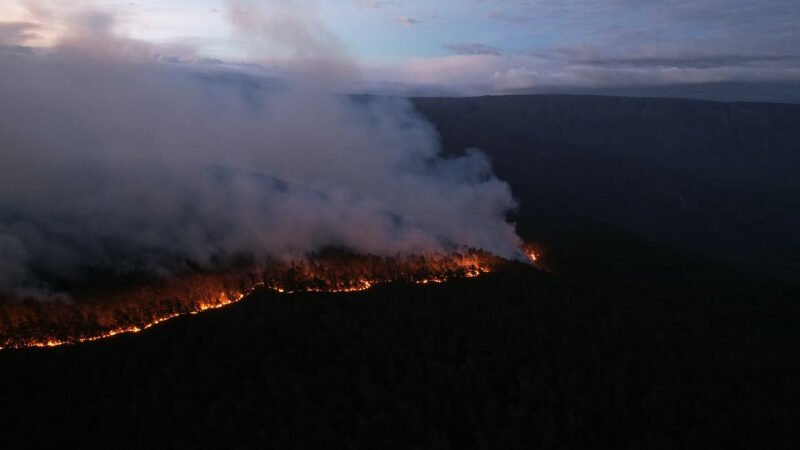 Incendios devoran pinares y fauna endémica en la Sierra de Bahoruco