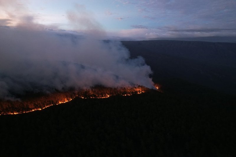 Incendios devoran pinares y fauna endémica en la Sierra de Bahoruco