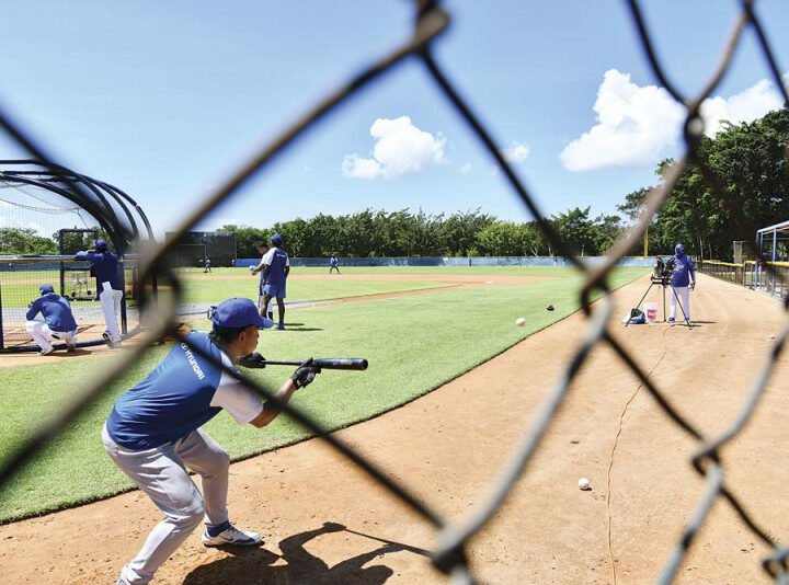 El Licey afila sus «garras» desde el primer día
